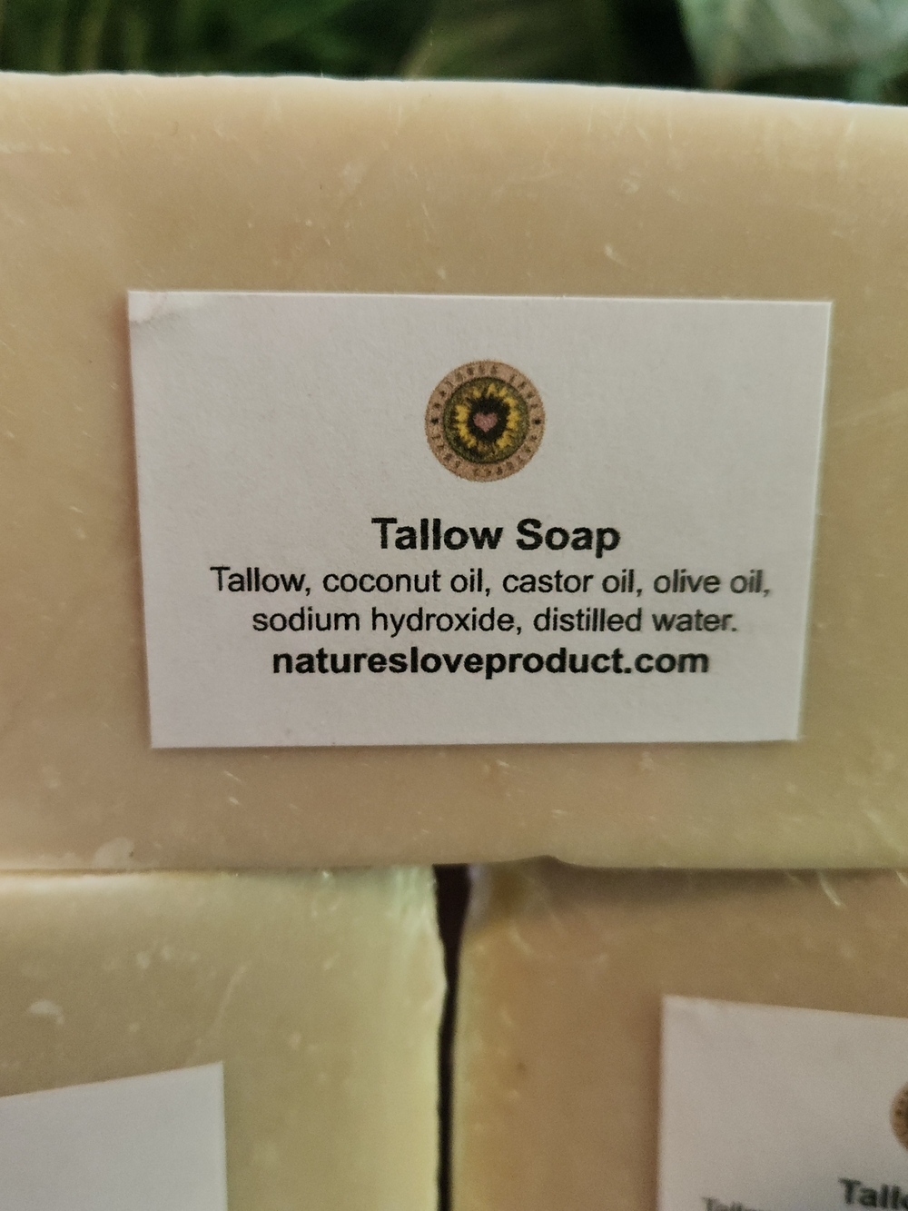 Tallow Soap - Cream Tallow & Coconut Bar